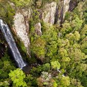 Goomoolahra Falls - Springbrook NP