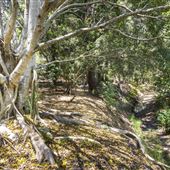 North Ipswich Wetlands Park