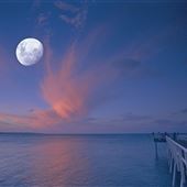Torquay Jetty