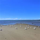 Deception Bay Beach