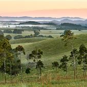 Lamins Hill Lookout