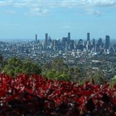 Mt Coot-tha Lookout
