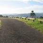 Mountain Road with Views