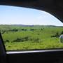 Mountain Road with Views