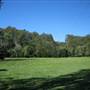Bellbird Grove - D'Anguilar National Park