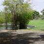 Mt Coot-tha Botanical Gardens