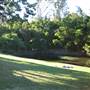 Mt Coot-tha Botanical Gardens