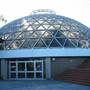 Mt Coot-tha Botanical Gardens