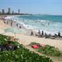 Burleigh Heads - Beach & Surf Club area