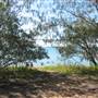 Mackay Region - Cape Hillsborough National Park