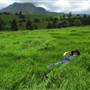 Cedar Glen Farmstay