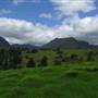 Cedar Glen Farmstay