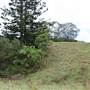 Cedar Glen Farmstay
