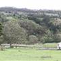 Cedar Glen Farmstay
