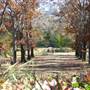 Cedar Glen Farmstay