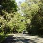 Currumbin Creek Road