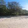 Florence Bay (Magnetic Island)