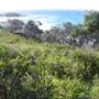 Frenchman's Bay (North Stradbroke Island)