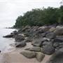 Garden Island