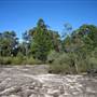 Warwick Region - Girraween National Park