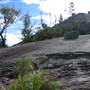 Warwick Region - Girraween National Park
