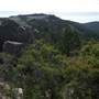 Warwick Region - Girraween National Park