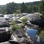 Warwick Region - Girraween National Park