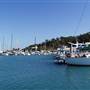 Hamilton Island