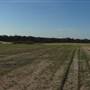 Jimboomba Turf Farm