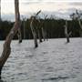 Lake Tinaroo