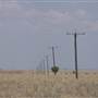 Longreach Landscape