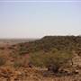 Longreach Landscape