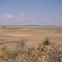 Longreach Landscape