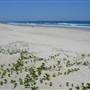 Main Beach