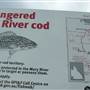 Mary River