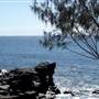 Mooloolaba - Beach
