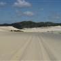 Mulgumpin (Moreton Island) - The Desert