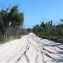 Mulgumpin (Moreton Island)