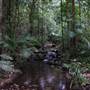 Mossman Gorge