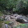 Mossman Gorge