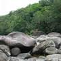 Mossman Gorge