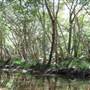 Mowbray Valley