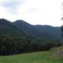 Mowbray Valley
