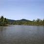 Mulgrave River (Cairns Region)