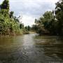 Mulgrave River (Cairns Region)