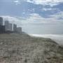 Oceanside Park - Narrowneck Beach