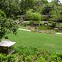 Japanese Garden, Mt Coot-tha Botanical Gardens