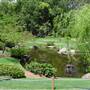 Japanese Garden, Mt Coot-tha Botanical Gardens