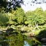 Japanese Garden, Mt Coot-tha Botanical Gardens