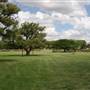 New Farm Park